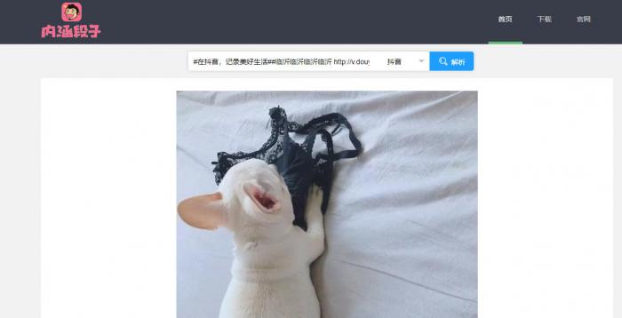 短视频无水印解析源码半开源分享-RJCK软件仓库-国内外原版软件&素材源码下载
